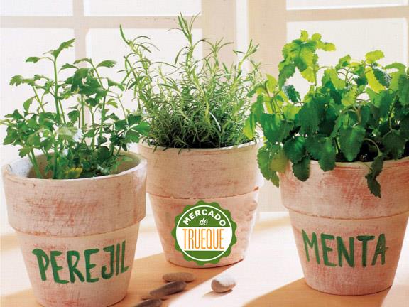 1002866_10153207231590360_1861760305_n